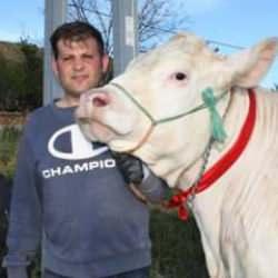 'Pamuk Kız' isimli 1 tonluk d&uuml;venin hem g&uuml;zelliği hem de fiyatı konuşuluyor