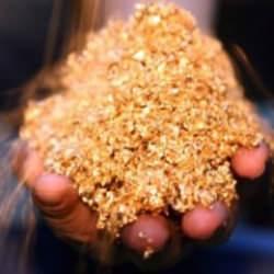 Altının kaynağını buldular! Sıra dışı keşif