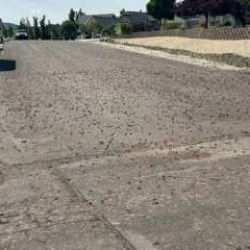 B&ouml;cekler kenti istila etti