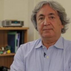 Dünyaca ünlü Türk profesör, Filistin'i desteklediği için kurduğu dergiden atıldı