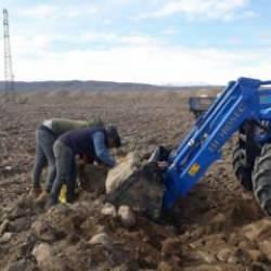 Hayvanlarına yem ararken buldu: &Ccedil;&ouml;z&uuml;me bakan gıpta etti!