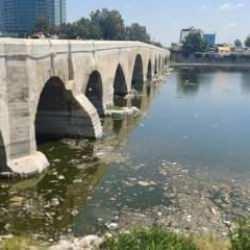 Seyhan Nehri'ndeki kirlilik İzmir K&ouml;rfezinden bile beter! 