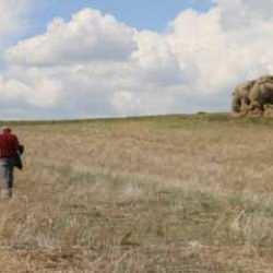 Sivas'ta tarım arazisinde bulundu: 5 metre uzunluğunda! Sırrı hâlâ çözülemedi 