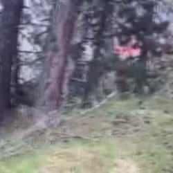 Son dakika: Ankara'da orman yangını! 