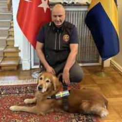 Asrın felaketinde 18 kişiyi kurtaran köpek hayatını kaybetti