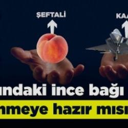 T&uuml;rkiye&rsquo;nin yerli sanayi ve teknoloji m&uuml;cadelesi nasıl başarılı oldu?