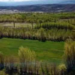 2B arazilerinde mülkiyet hakları ve tapu süreci nasıl işleyecek? Detaylar belli oldu