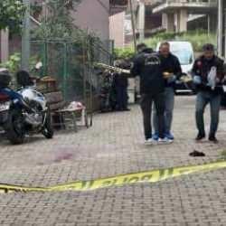 Kocaeli'de kardeş cinayeti: 1 tutuklu