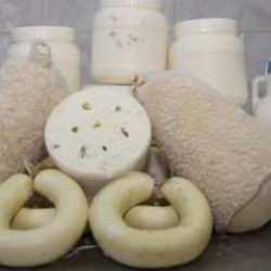 Erzincan tulum peyniri AB'den coğrafi işaret tescili aldı!