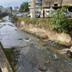 Rize’de derede balık ölümlerine inceleme başlatıldı