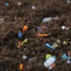 Salata değil, plastik yiyoruz! Tarım ürünlerindeki sessiz tehlike