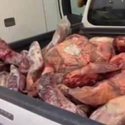 Şanlıurfa'da bir bu&ccedil;uk ton bozuk et ele ge&ccedil;irildi 