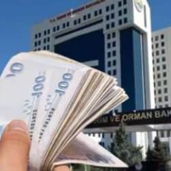 Tarım ve Orman Bakanlığı duyurdu: Üreticilere hayvan başına 18 bin TL'ye kadar destek!