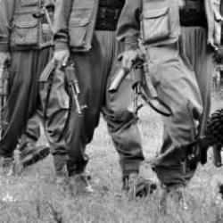 Terör örgütü silahları ne zaman bırakacak? AK Partili Ala'dan açıklama!