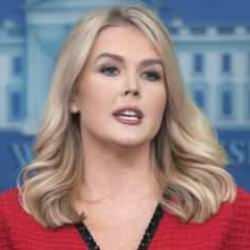 Leavitt: Harvardlı LGBT'lilere değil, elektrikçiye ihtiyacımız var