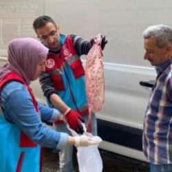 Yakaladığı 363 kalkan balığının sevinci kursağında kaldı