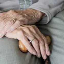 Yaşlı Destek Programı'na başvurular başladı