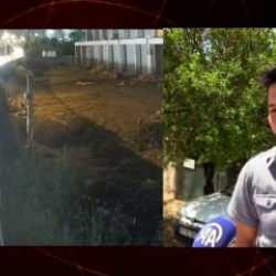 Başıboş köpek saldırısında emsal karar! 