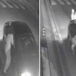 Başıboş sokak k&ouml;pekleri korkusundan camdan aracın i&ccedil;ine atladı