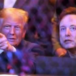 Elon Musk paylaşımını sildi ama olan oldu: Trump'ın başı büyük dertte!