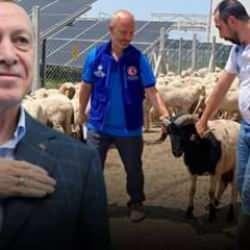 Erdoğan’ın kurban vekaleti TDV tarafından Konya’da yerine getirildi