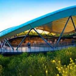 Göbeklitepe'ye ziyaretçi akını! Rakamlarda artış