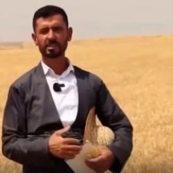 Iraklı çiftçiden Gazze’ye yürek ısıtan destek: Tüm buğday mahsulünü bağışladı