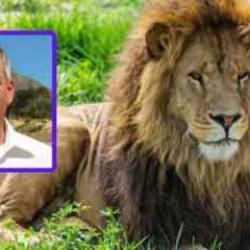 İşadamını aslan yedi