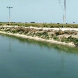 Kayıp olarak aranıyordu: 74 yaşındaki adamın cansız bedeni bulundu!