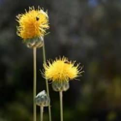 Koparan yandı! Cezası 557 bin 212 lira