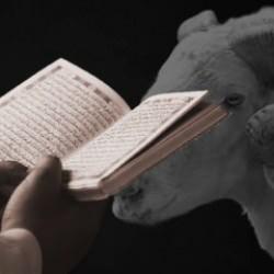 Kurban: Ailede başlayan, rahmetle yoğrulan bir toplum tasavvuru