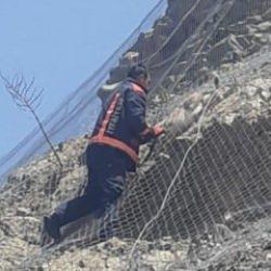 Malatya'da ağa takılan 2 yaban keçisi kurtarıldı