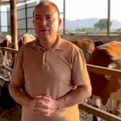 Sattığı kurbanın fotoğrafını çekmek isteyen iş insanının feci ölümü