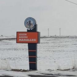 Tehlike yayılıyor: Kayseri'de ikinci kene vakası! Birincisi ölümle sonuçlandı 