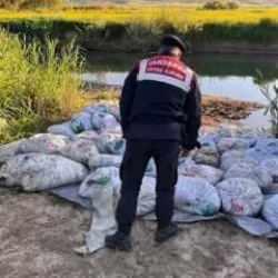 Van'da denetimlerde 22 ton 475 kilogram inci kefali ele geçirildi