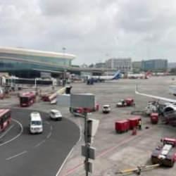 Ş&uuml;pheli tavırlarıyla dikkat &ccedil;ekiyordu... Bagajından 95 egzotik hayvan &ccedil;ıktı!