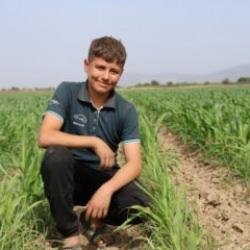 Muhammet Efe, tek başına 300 dönüm arazide üretim yapıyor