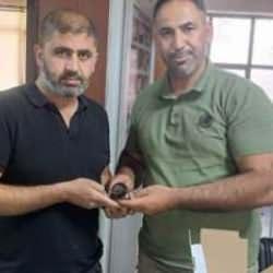 Adıyaman'da yaralı halde bulundu: Uyurken uçabiliyor