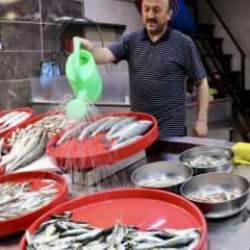 Balıkçı tezgahlarında bolluk yaşanıyor