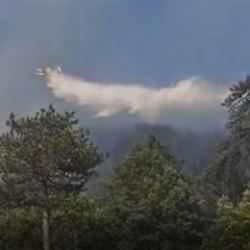 Balıkesir'de orman yangını