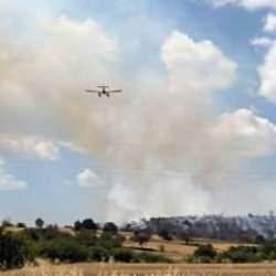 Edirne'de orman yangını