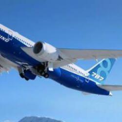 Hindistan'da d&uuml;şen u&ccedil;ağın &ouml;zellikleri neler? Boeing 787-8 Dreamliner &ouml;zellikleri