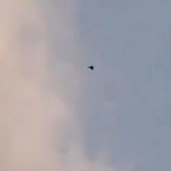 İran'ın başkenti Tahran'daki bu görüntü sosyal medyada gündem oldu