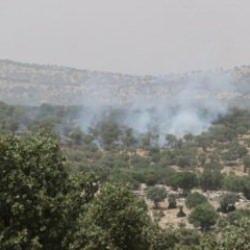 Mardin'de orman yangını: Kontrol altına alındı