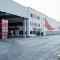 Rekabet Kurulu’ndan Coca-Cola’ya soruşturma!