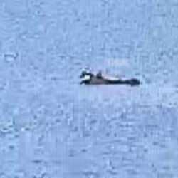 Adana'da yangın söndürme uçağı düştü