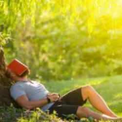 Anadolu efsanesi doğru çıktı: Ceviz ağacının gölgesine sakın oturmayın!