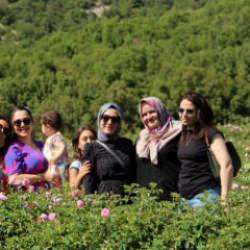 Bastonun içinde Türkiye’ye getirildi! Şimdi görenler hayran kalıyor