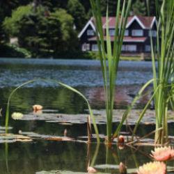 Bir anda 557 binlik olabilirsiniz! Bunu gördüğünüzde aman dikkat