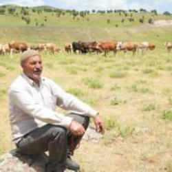 &Ccedil;oban 1 milyon TL istedi! K&ouml;yl&uuml; &ccedil;&ouml;z&uuml;m&uuml; b&ouml;yle buldu